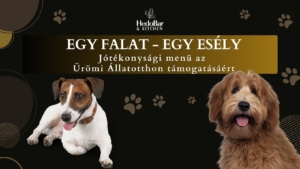 jótékonysági menü Pilisvörösvár 